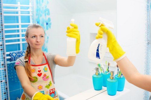 Professional Sydenham carpet cleaners providing careful carpet care in a local home
