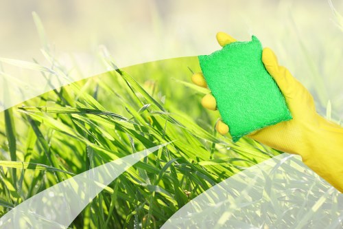 Professional carpet cleaning in Sydenham for a fresh home interior