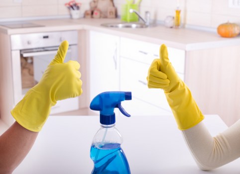 Professional carpet cleaners in Sydenham cleaning a residential carpet