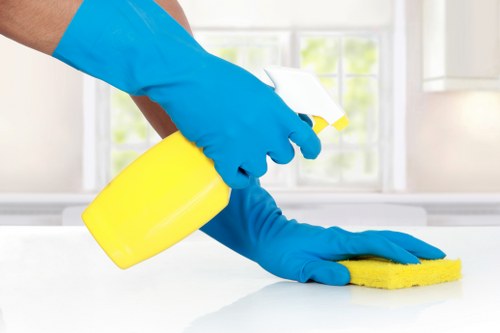 Cleaning process for upholstered furniture in Sydenham