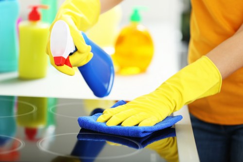 Sydenham Carpet Cleaners supporting quality carpet care in a property interior
