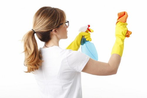 Upholstery stain removal process in Sydenham