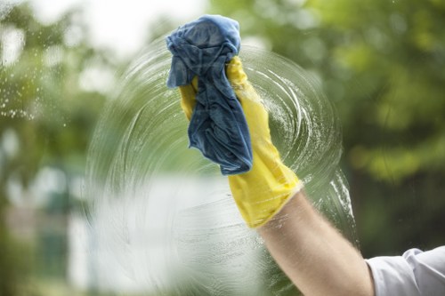 Dust and stain removal during mattress cleaning in Sydenham