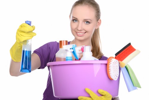 Complaint details being recorded for a carpet cleaning service review
