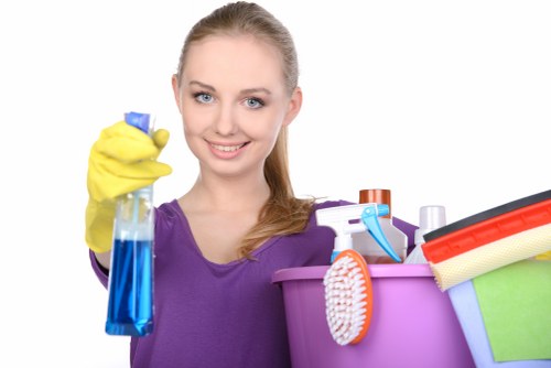 Professional carpet cleaning tools set up safely in a home