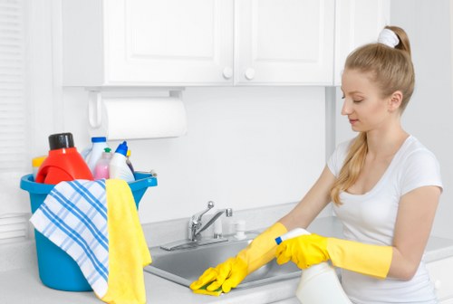 Fresh and hygienic home after pet stain odour removal in Sydenham